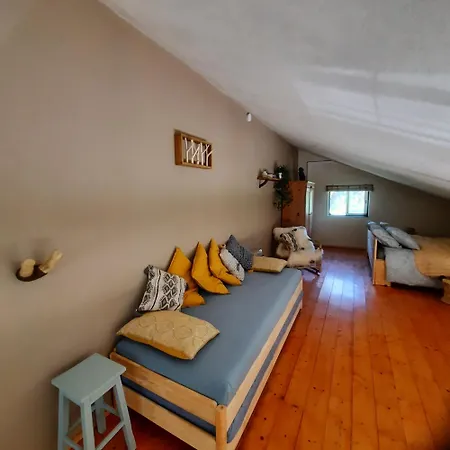 Casa Rio Alva Dom wakacyjny Vila Pouca da Beira